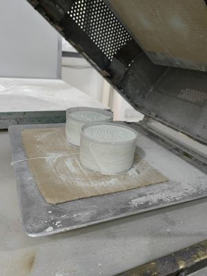 Snel Genezende van de het Poeder Grondstof van het Melamineafgietsel SGS van de de Nevelweerstand Zoute