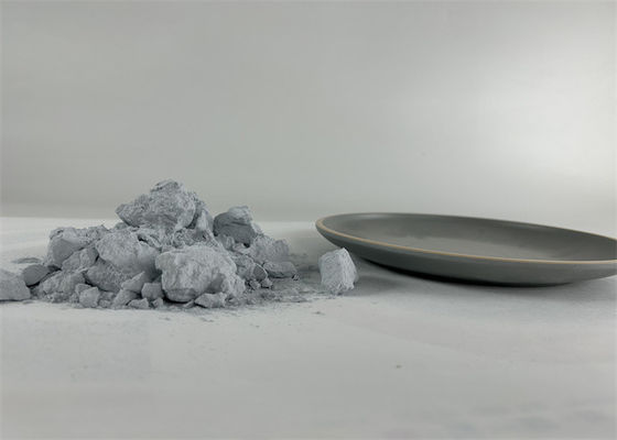 Imitatie porseleinen tafelgerei Lepel Amino gegoten Plastic Wit kristal Proefgeleverd