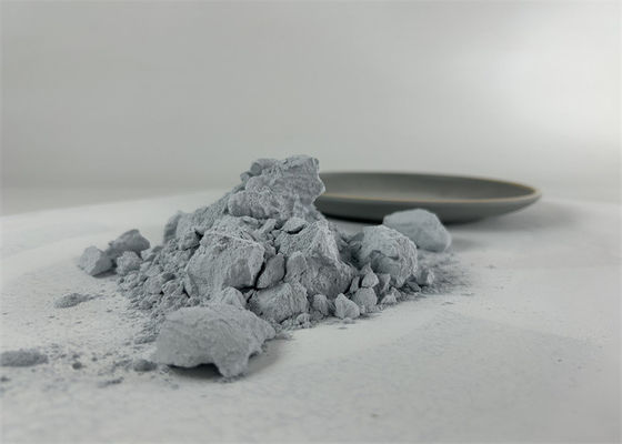 Imitatie porseleinen tafelgerei Lepel Amino gegoten Plastic Wit kristal Proefgeleverd