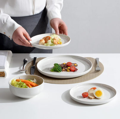 Kleurrijke onbreekbare melamine tafelgerei zonder BPA