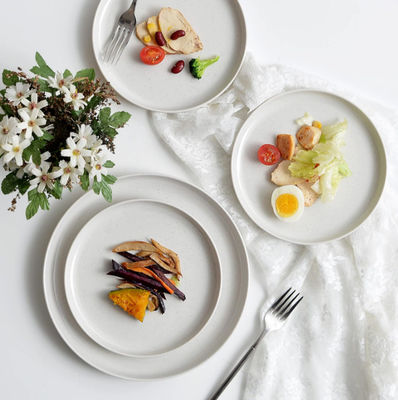 Kleurrijke onbreekbare melamine tafelgerei zonder BPA