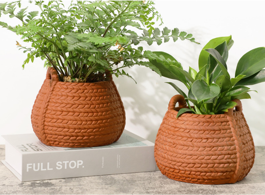 6 inch kleine terracotta potten voor binnenshuis planten leven